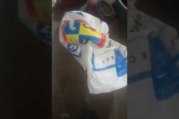 Как войти в кракен через тор
